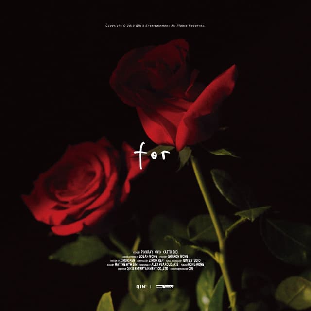 Album cover art for For