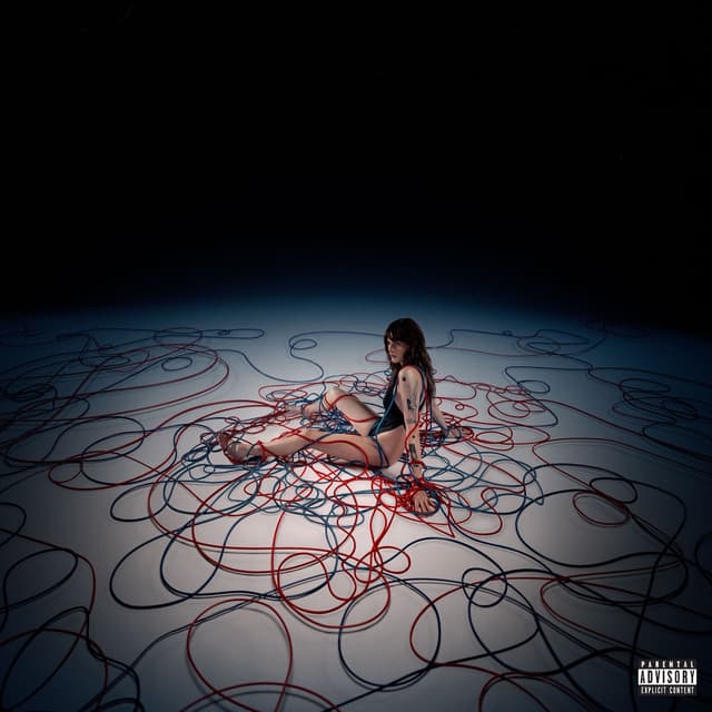 Album cover art for Not Normal