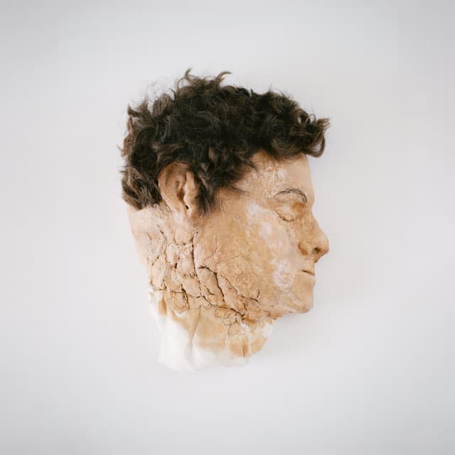 Album cover art for tryin to be born