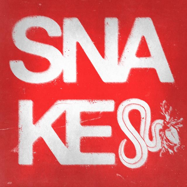 Album cover art for Snake