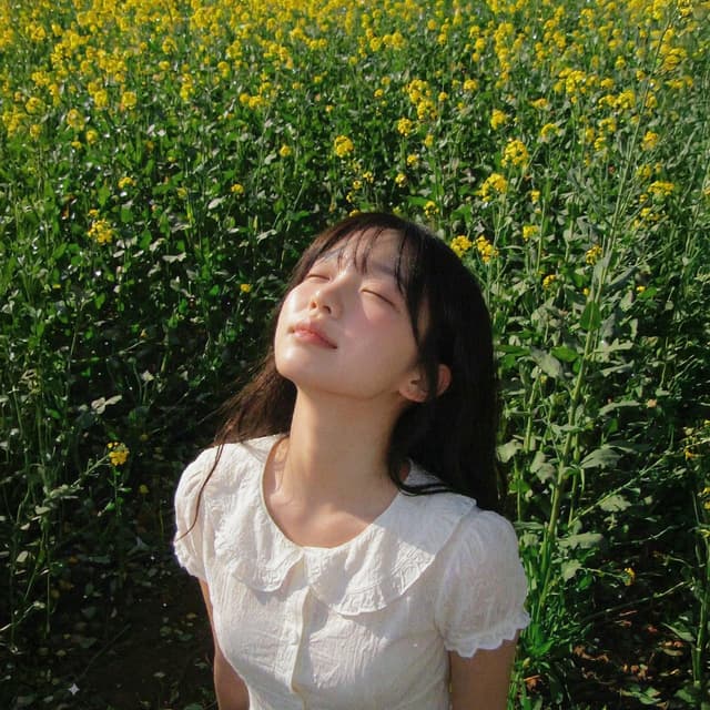 Album cover art for Dami’s Spring