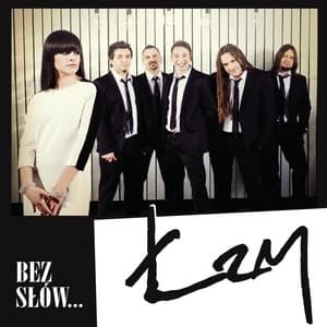 Album cover art for Bez słów...