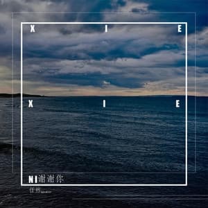 Album cover art for 谢谢你
