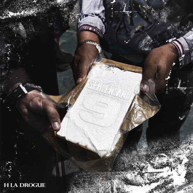 Album cover art for Seklenland - Pt.9