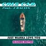 Just Wanna Love You [B-Case Remix]