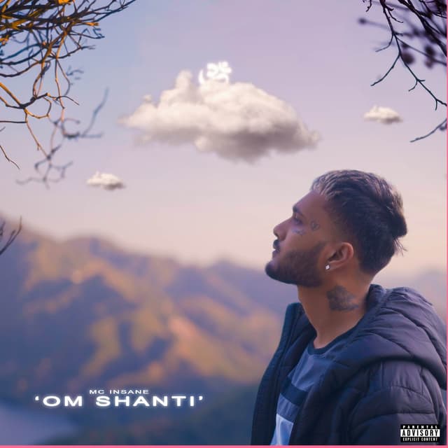 Album cover art for Om Shanti