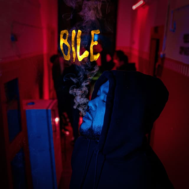 Album cover art for Bile