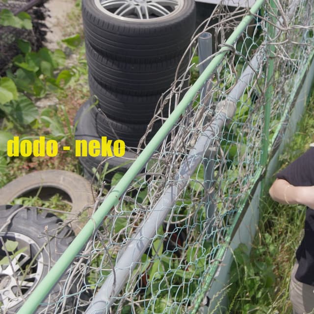 Album cover art for Neko - Single
