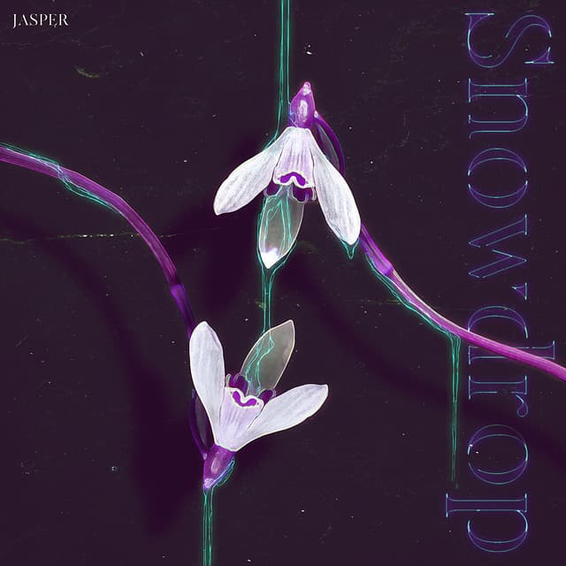 Album cover art for Snowdrop