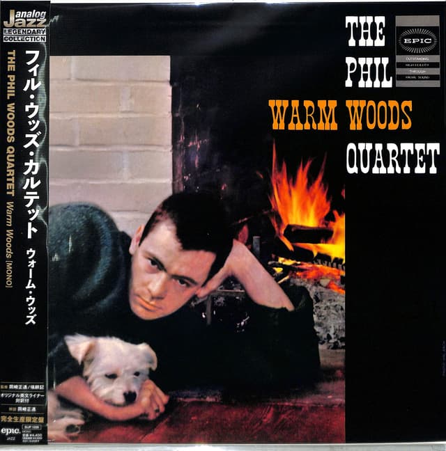 Album cover art for Warm Woods
