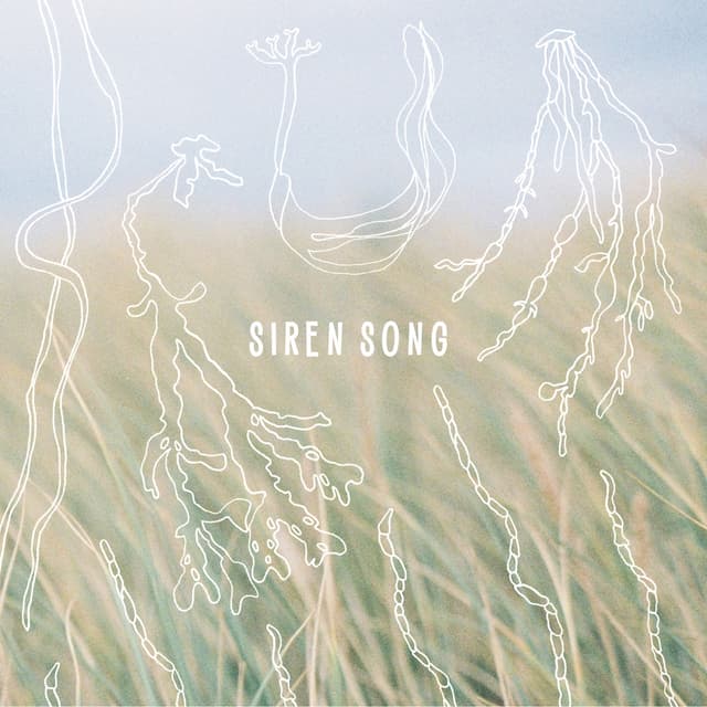 Album cover art for Siren Song