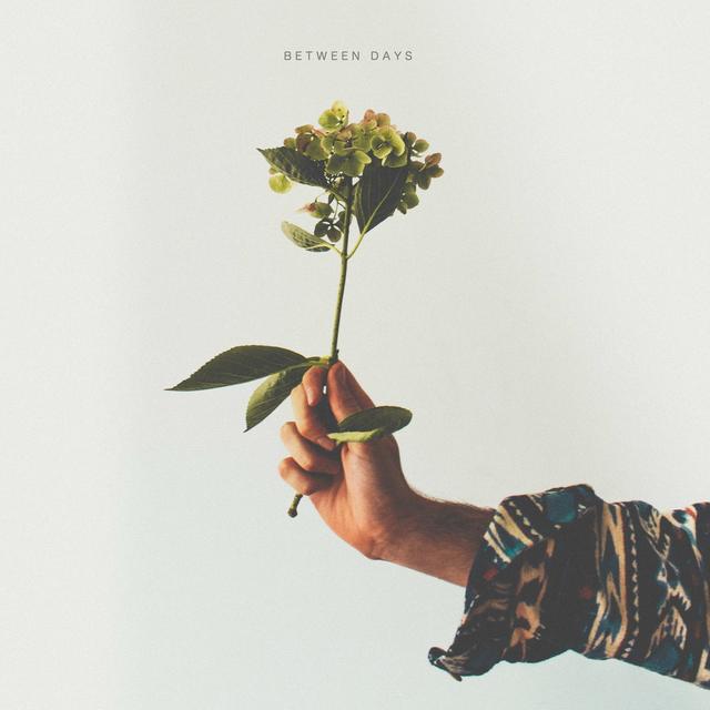 Album cover art for Between Days