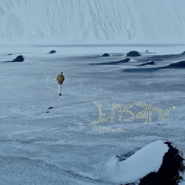 Album cover art for Insane