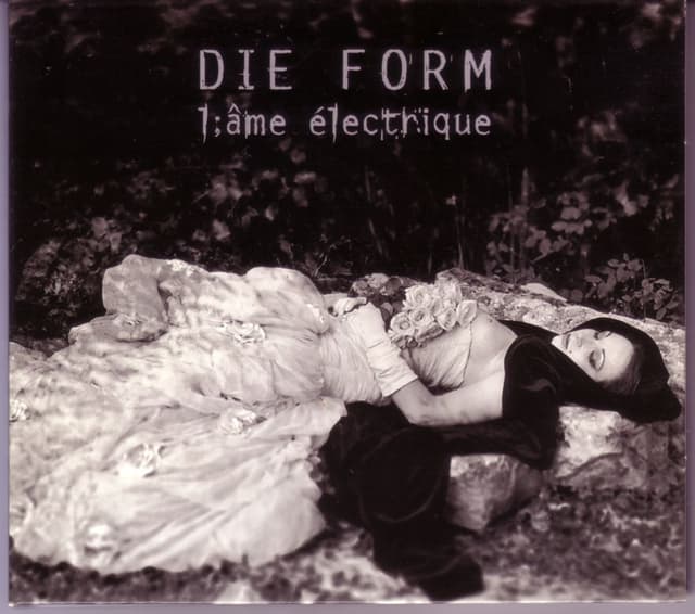 Album cover art for L'âme Électrique