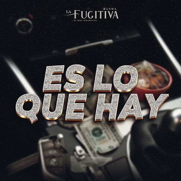 Album cover art for Es Lo Que Hay