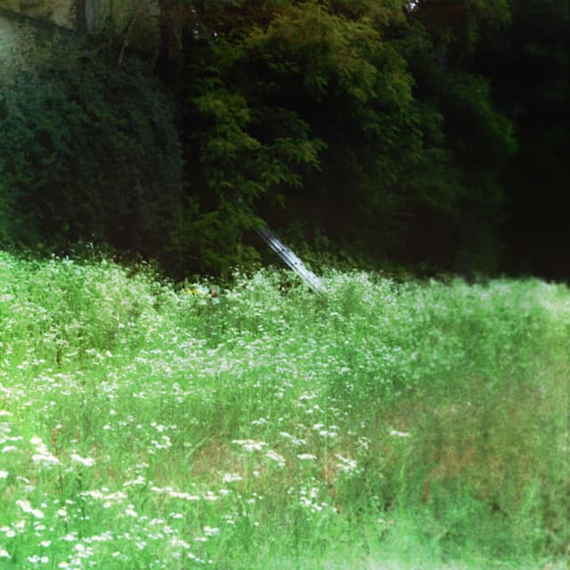 Album cover art for a lucky angel