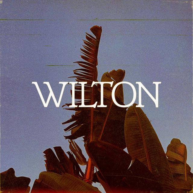 Album cover art for Wilton