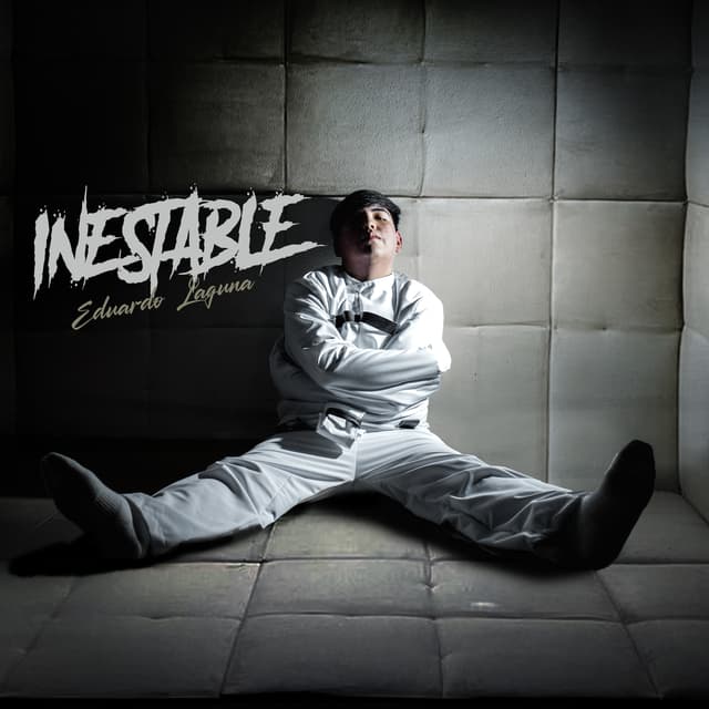 Album cover art for Inestable
