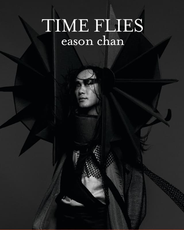Album cover art for Time Flies 2010