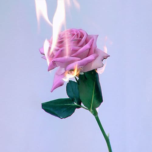 Album cover art for Bara Du