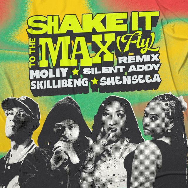 Album cover art for Shake It to the Max (Fly)