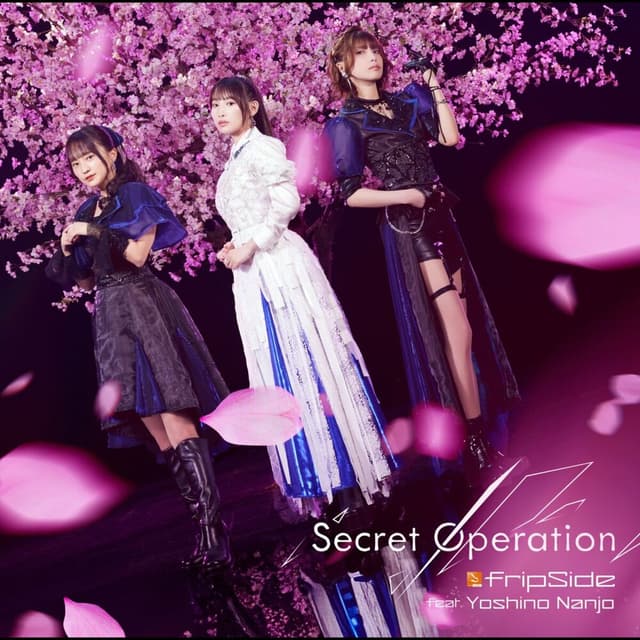 Album cover art for Secret Operation