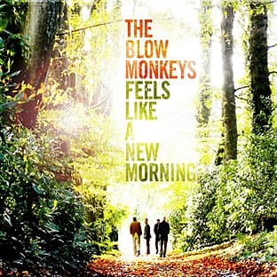 Album cover art for Feels Like A New Morning