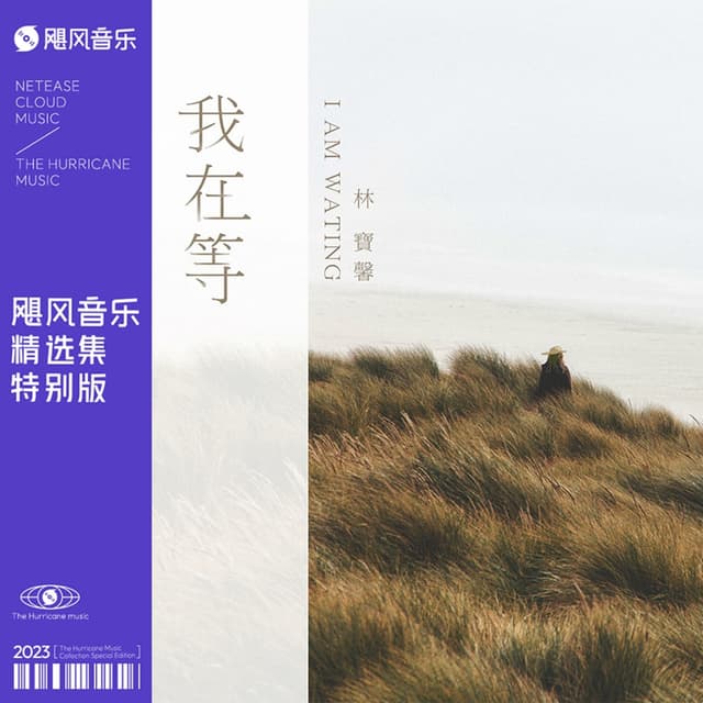 Album cover art for 我在等