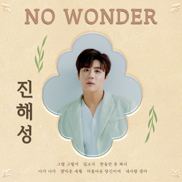 Album cover art for No Wonder
