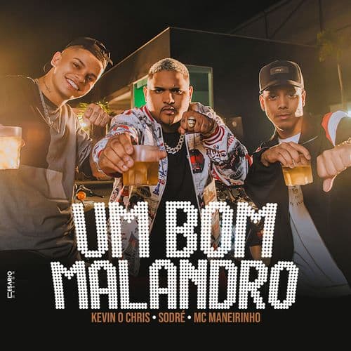 Album cover art for Um Bom Malandro