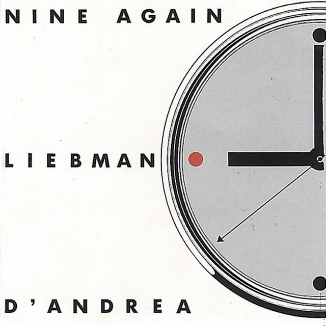 Album cover art for Nine Again