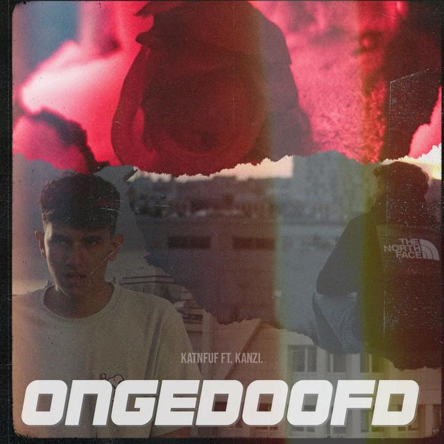 Album cover art for Ongedoofd