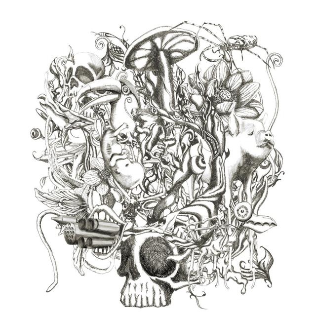 Album cover art for anima