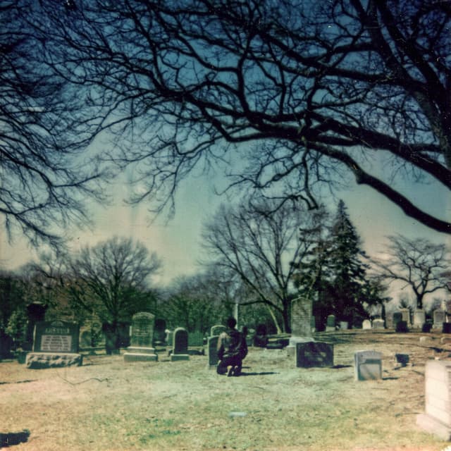 Album cover art for Querencia