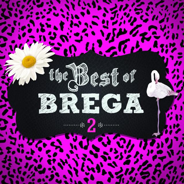 Album cover art for The Best Of Brega - Vol. 2