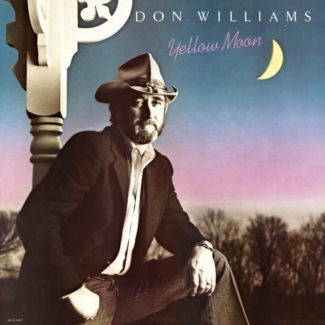 Album cover art for Yellow Moon