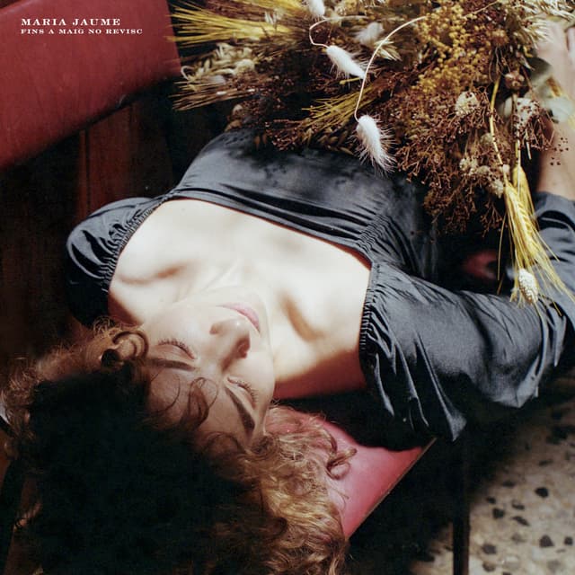 Album cover art for Fins a Maig no revisc