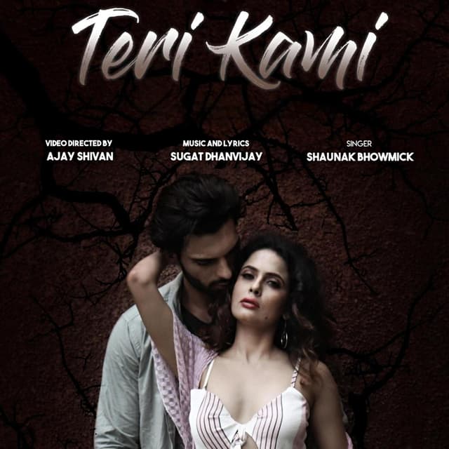 Album cover art for Teri Kami