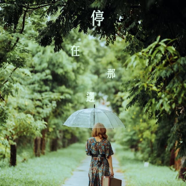 Album cover art for 停在那邊
