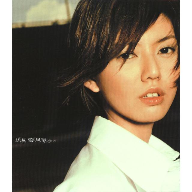 Album cover art for 风筝