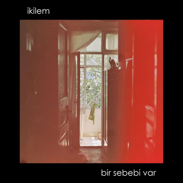 Album cover art for Bir Sebebi Var