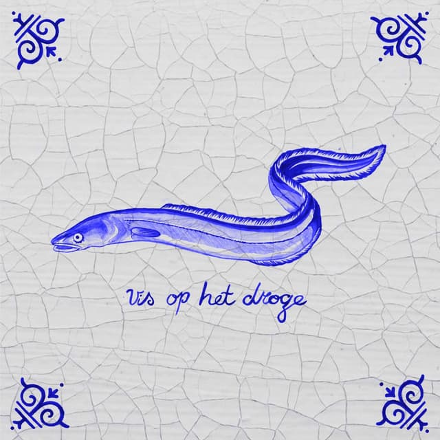 Album cover art for vis op het droge
