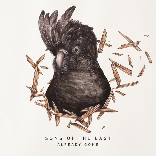 Album cover art for Already Gone