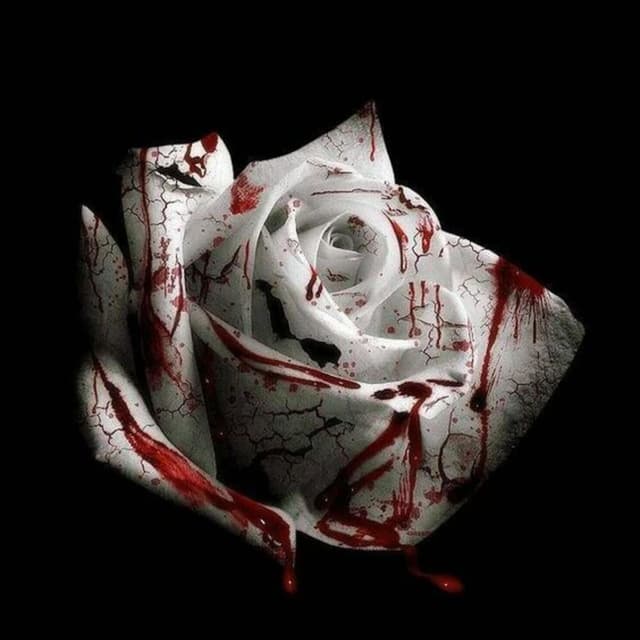 Album cover art for Romantic Homicide