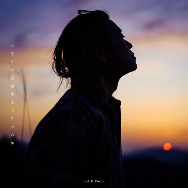 Album cover art for Zinseitohadakyousurubekinanoka