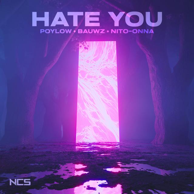 Album cover art for Hate You