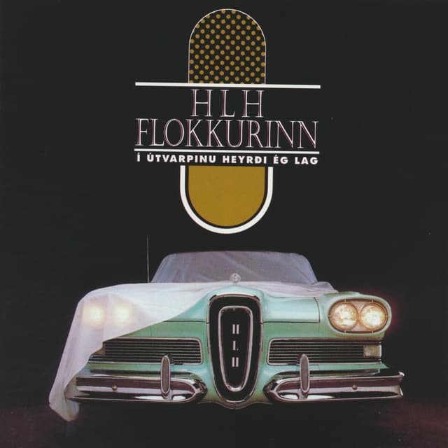 Album cover art for Í útvarpinu heyrði ég lag