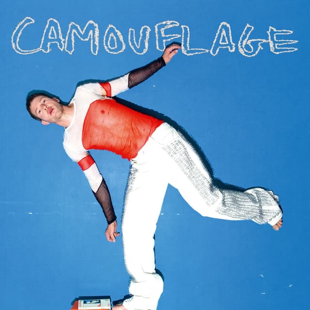 Album cover art for Camouflage