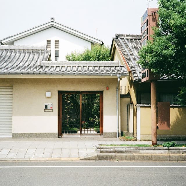 Album cover art for Freely