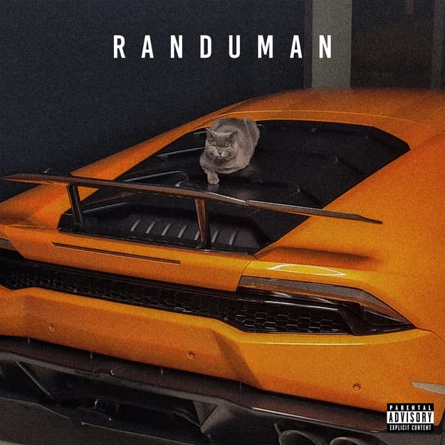 Album cover art for RanDuman